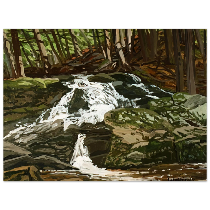 Neil Welliver - Study for Falls - Jam Brook - 1996 75x100 cm / 30x40inches Fine Art Poster
