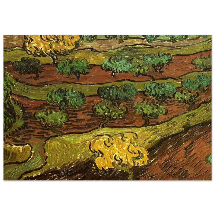 Olive Trees against a Slope of a Hill - Vincent van Gogh Brushed Aluminum Print - 70x100 cm / 28x40 inches | Vincent van Gogh Aluminum Print | Vincent van Gogh Prints