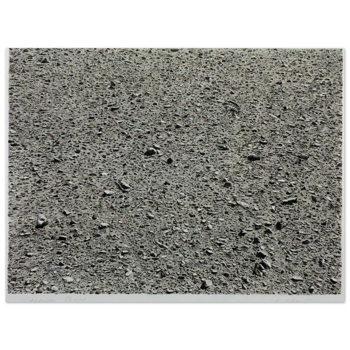 Vija Celmins - DESERT 1975 75x100 cm / 30x40inches Fine Art Poster