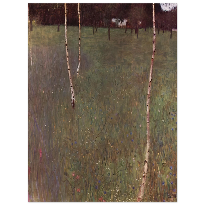 Gustav Klimt - FARMHOUSES WITH BIRCH TREES 75x100 cm / 30x40inches Fine Art Poster