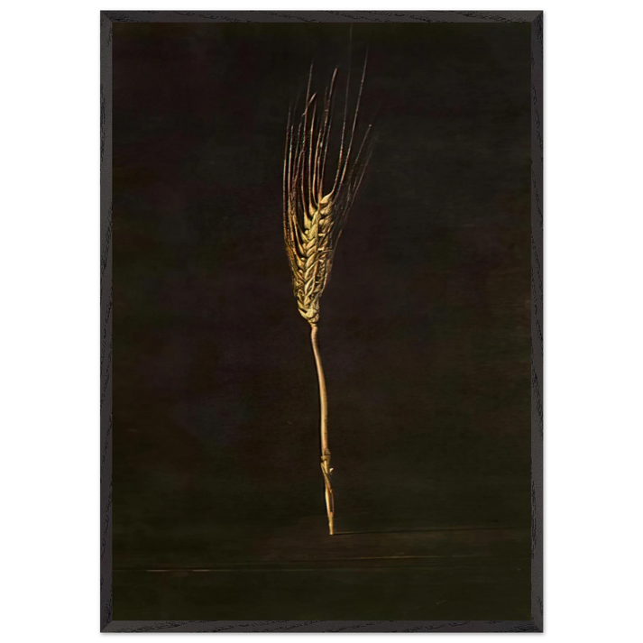 WHEAT EAR - Salvador Dali 70x100 cm / 28x40 inches Framed Art Print – Black Wooden Frame