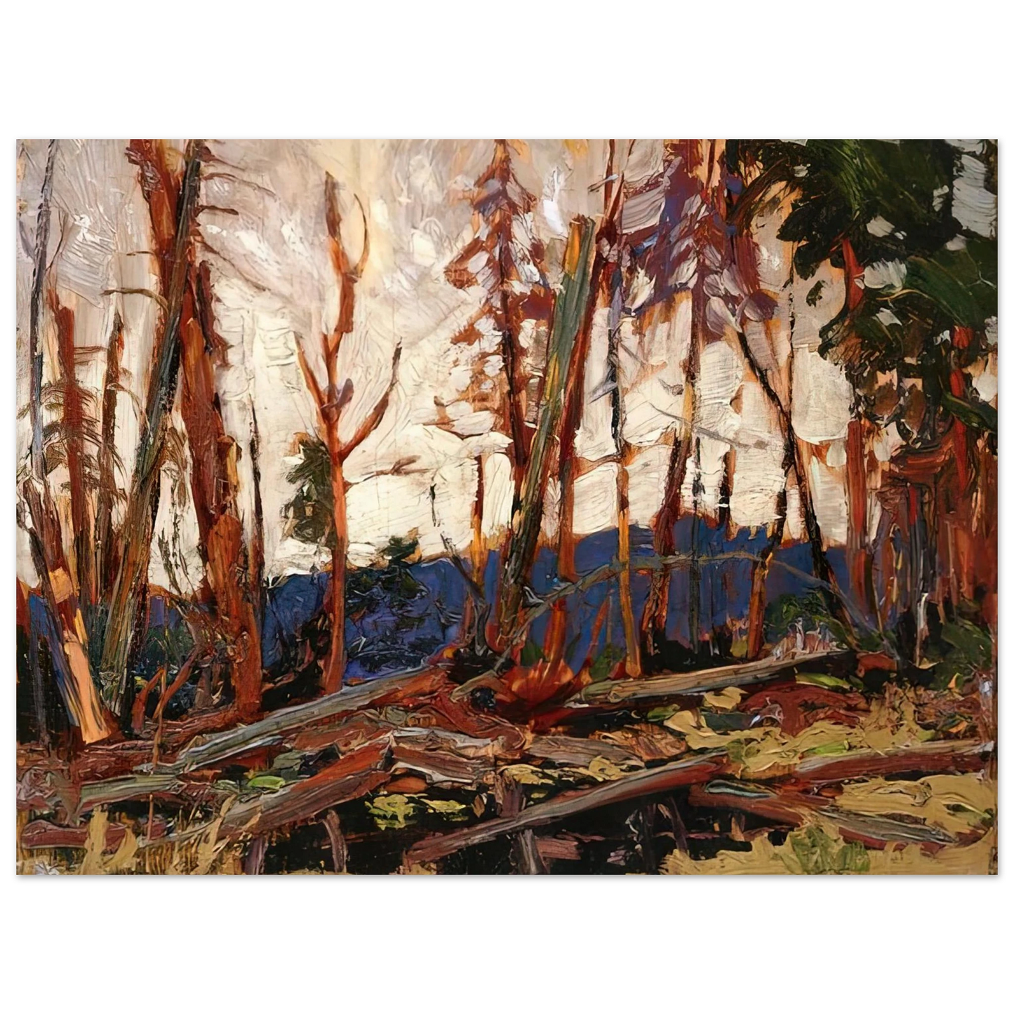 Tom Thomson - BURNT COUNTRY EVENING SKETCH FOR BURNT LAND 1914 75x100 cm / 30x40inches Fine Art Poster
