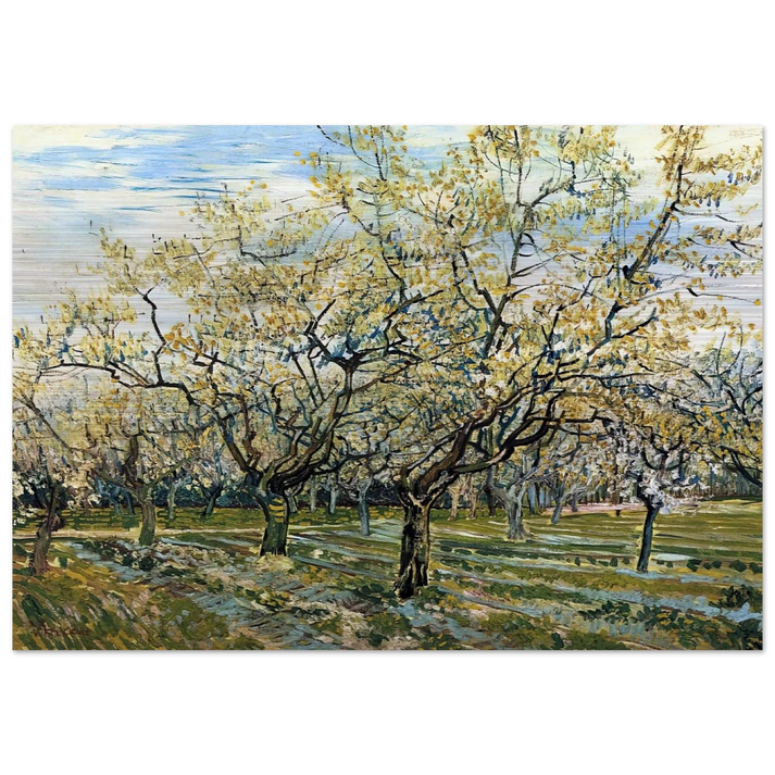 Orchard with Blossoming Plum Trees - Vincent van Gogh Brushed Aluminum Print - 70x100 cm / 28x40 inches | Vincent van Gogh Aluminum Print | Vincent van Gogh Prints