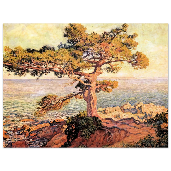 Theo van Rysselberghe - PINE BY THE MEDITERRANEAN SEA 1916 75x100 cm / 30x40inches Fine Art Poster