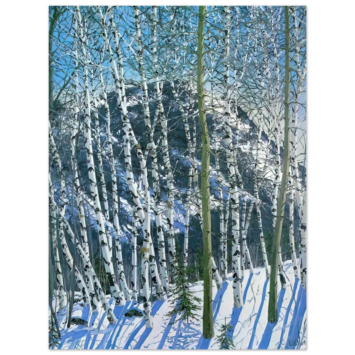 Neil Welliver - Birches - 2005 75x100 cm / 30x40inches Fine Art Poster