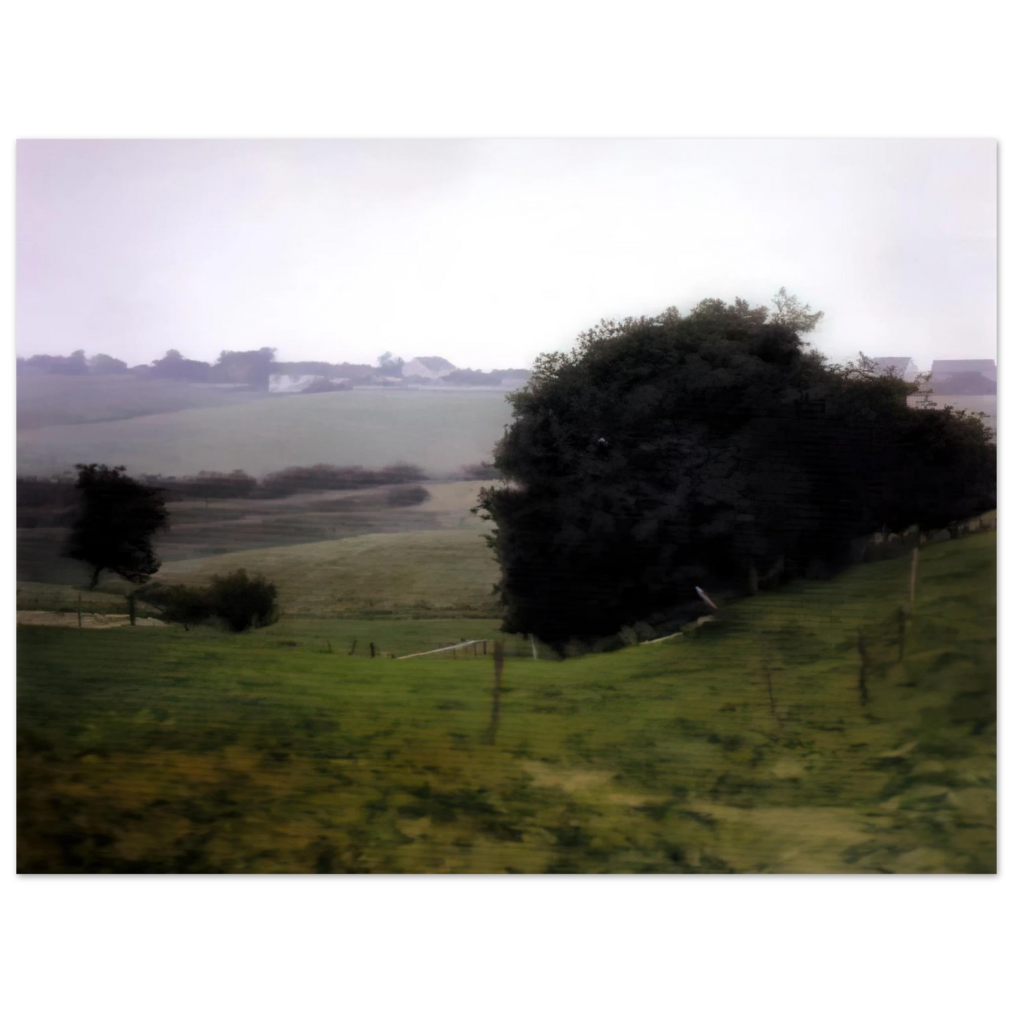 Gerhard Richter - MEADOWLAND 75x100 cm / 30x40inches Fine Art Poster