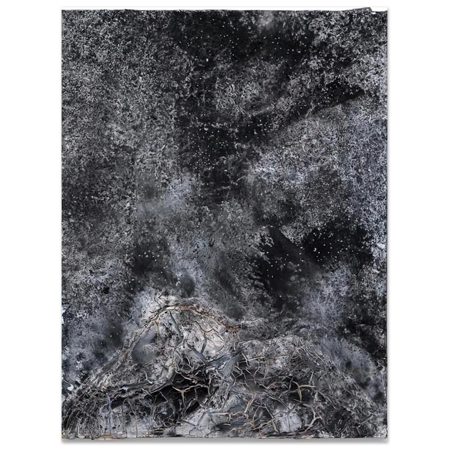 Anselm Kiefer - THE SECRET LIFE OF PLANTS FOR ROBERT FLUDD 2014 75x100 cm / 30x40inches Fine Art Poster