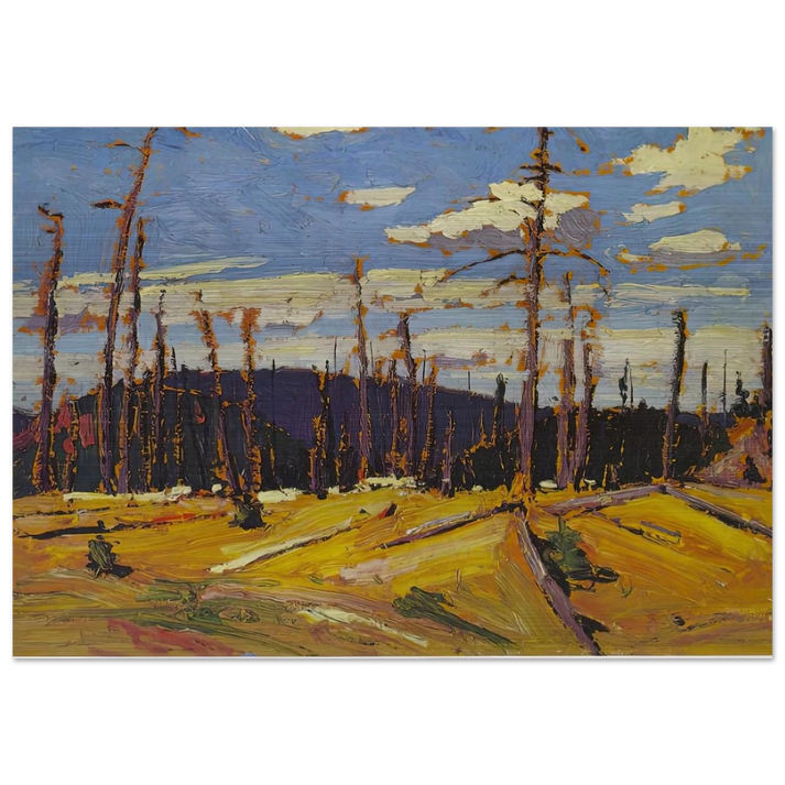 BURNT OVER FOREST 1916 - Tom Thomson Brushed Aluminum Print - 70x100 cm / 28x40 inches | Tom Thomson Aluminum Print | Tom Thomson Prints
