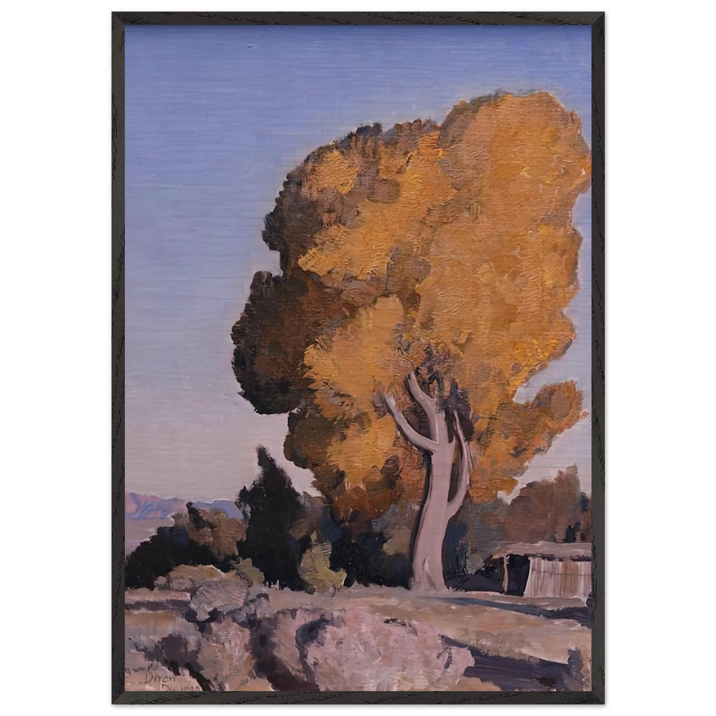 LOW COUNTRY COTTONWOOD 1940 - Maynard Dixon 70x100 cm / 28x40 inches Framed Art Print – Black Wooden Frame
