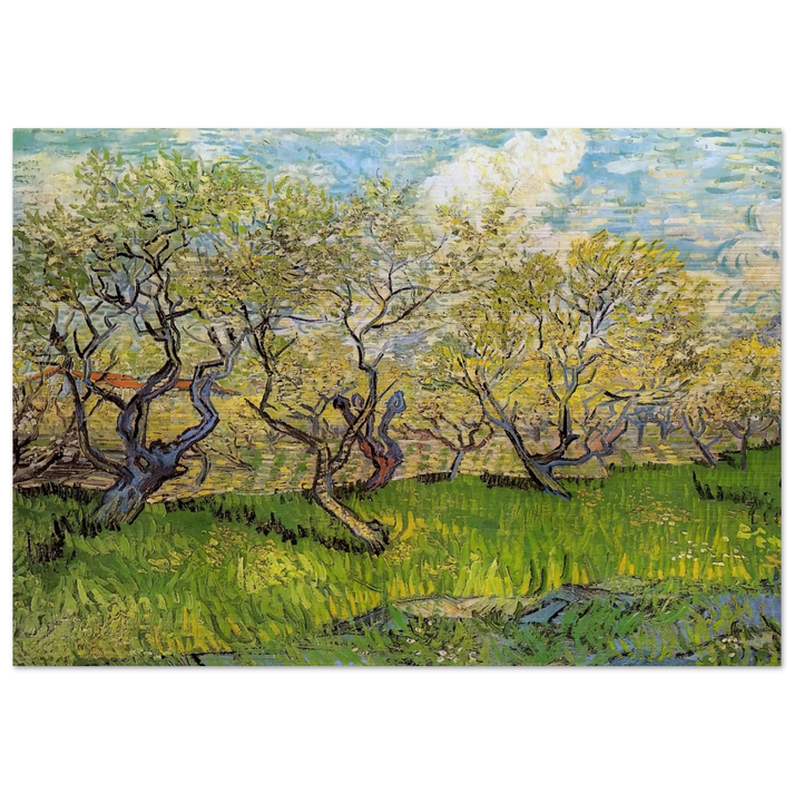 Orchard in Blossom - Vincent van Gogh Brushed Aluminum Print - 70x100 cm / 28x40 inches | Vincent van Gogh Aluminum Print | Vincent van Gogh Prints