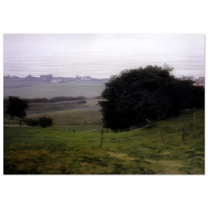 MEADOWLAND - Gerhard Richter Brushed Aluminum Print - 70x100 cm / 28x40 inches | Gerhard Richter Aluminum Print | Gerhard Richter Prints