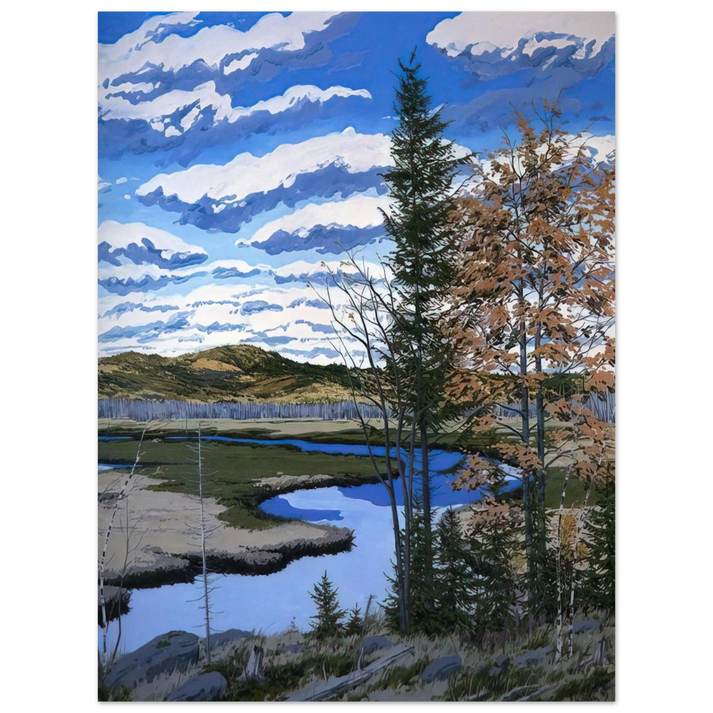 Neil Welliver - Shadow on Brigg's Meadow - 1981 75x100 cm / 30x40inches Fine Art Poster