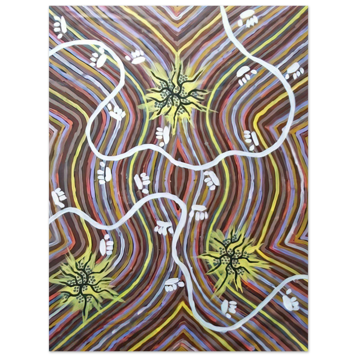 Clifford Possum Tjapaltjarri - Possum Country - 1995 75x100 cm / 30x40inches Fine Art Poster