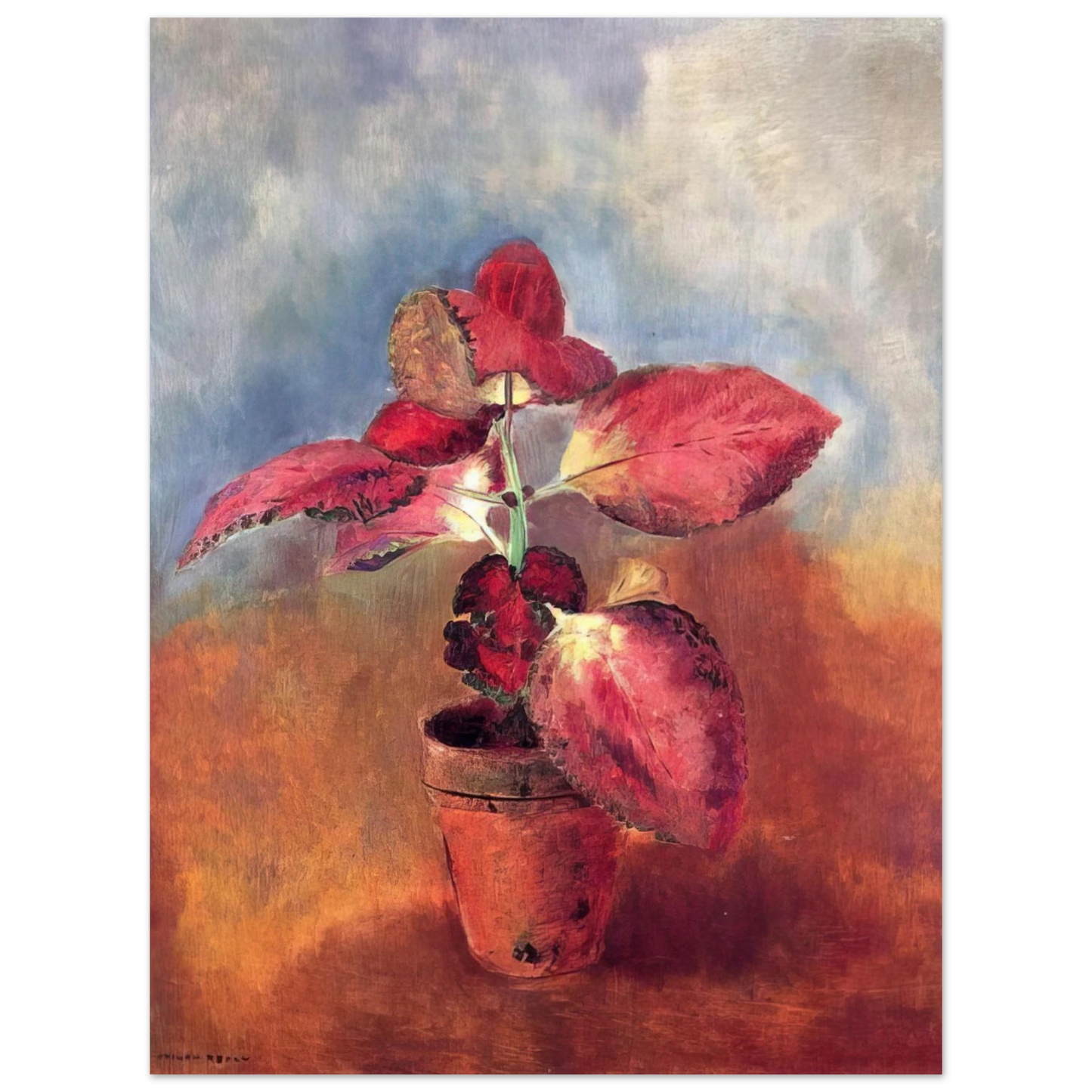 Odilon Redon - BEGONIA IN A POT 75x100 cm / 30x40inches Fine Art Poster