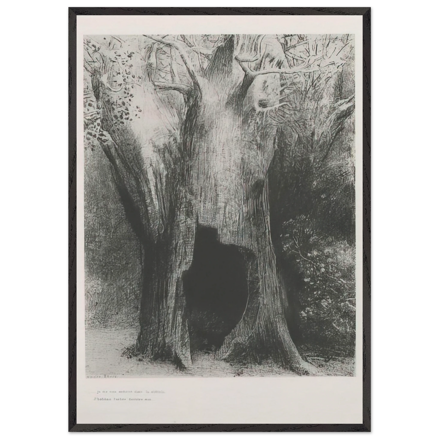 I PLUNGED INTO SOLITUDE I DWELT IN THE TREE BEHIND ME PLATE 9 1896 - Odilon Redon 70x100 cm / 28x40 inches Framed Art Print – Black Wooden Frame