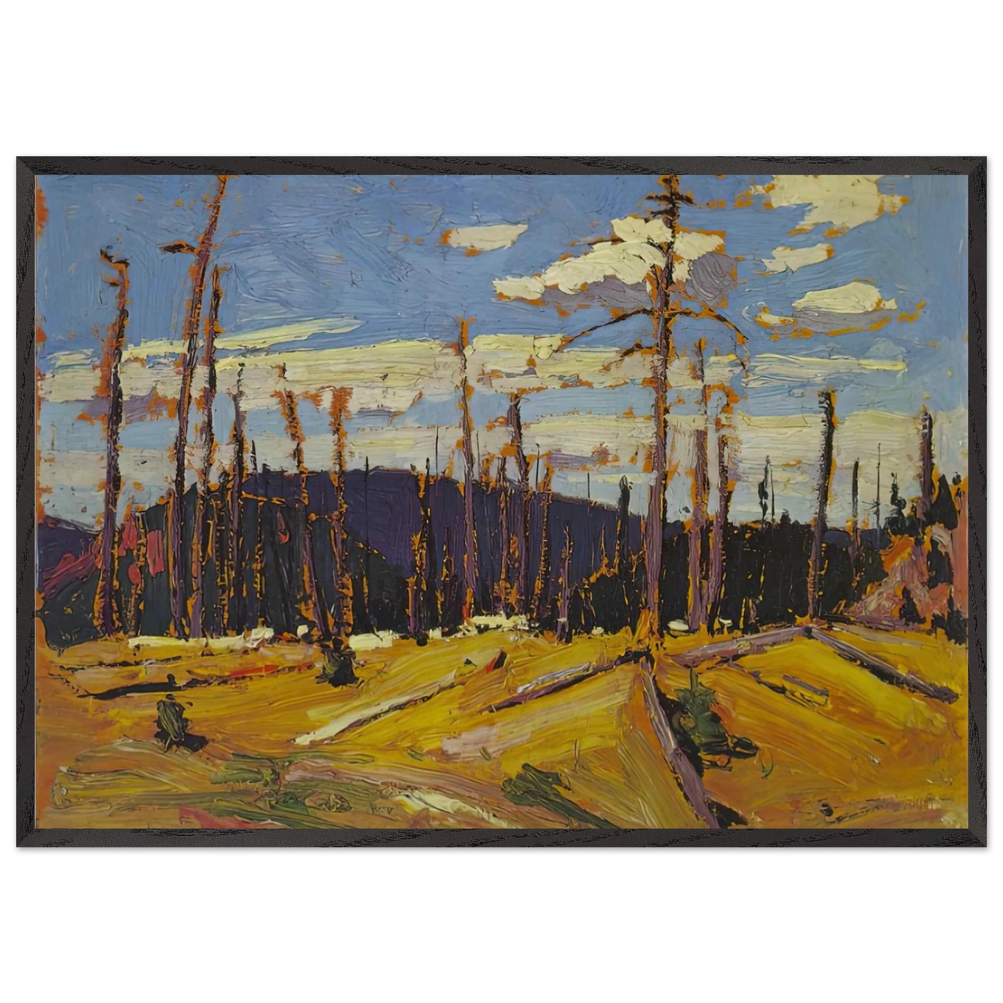 BURNT OVER FOREST 1916 - Tom Thomson 70x100 cm / 28x40 inches Framed Art Print – Black Wooden Frame