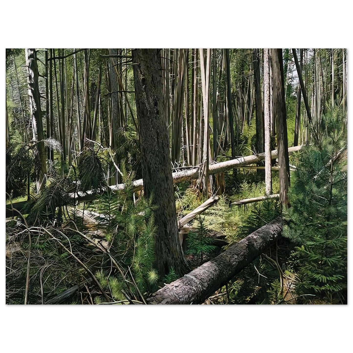 Richard Estes - NEAR HUNTERS BEACH ACADIA NATIONAL PARK 2008 75x100 cm / 30x40inches Fine Art Poster