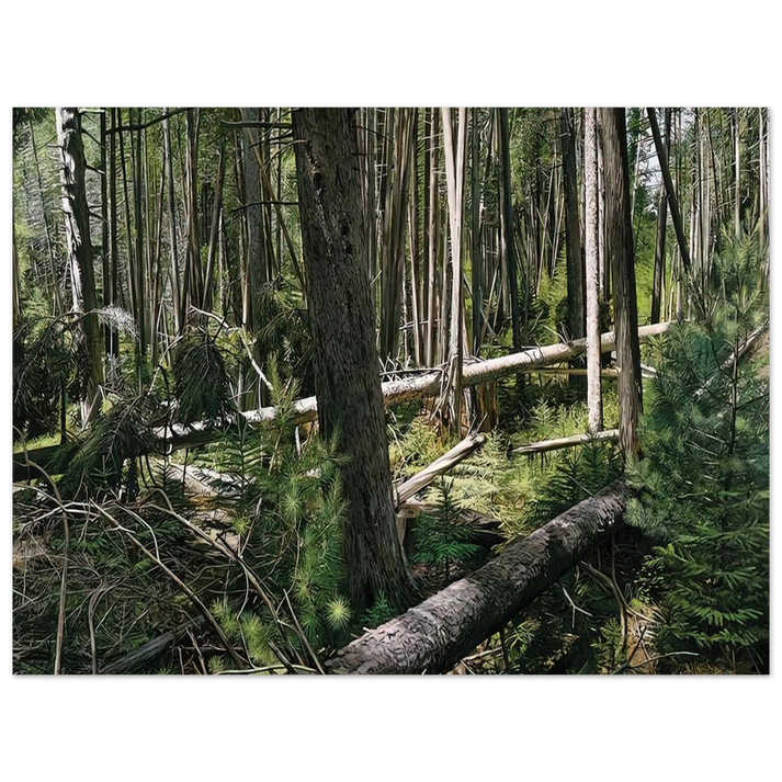 Richard Estes - NEAR HUNTERS BEACH ACADIA NATIONAL PARK 2008 75x100 cm / 30x40inches Fine Art Poster
