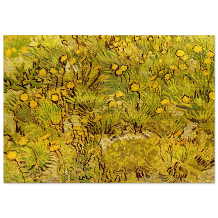A Field of Yellow Flowers - Vincent van Gogh Brushed Aluminum Print - 70x100 cm / 28x40 inches | Vincent van Gogh Aluminum Print | Vincent van Gogh Prints