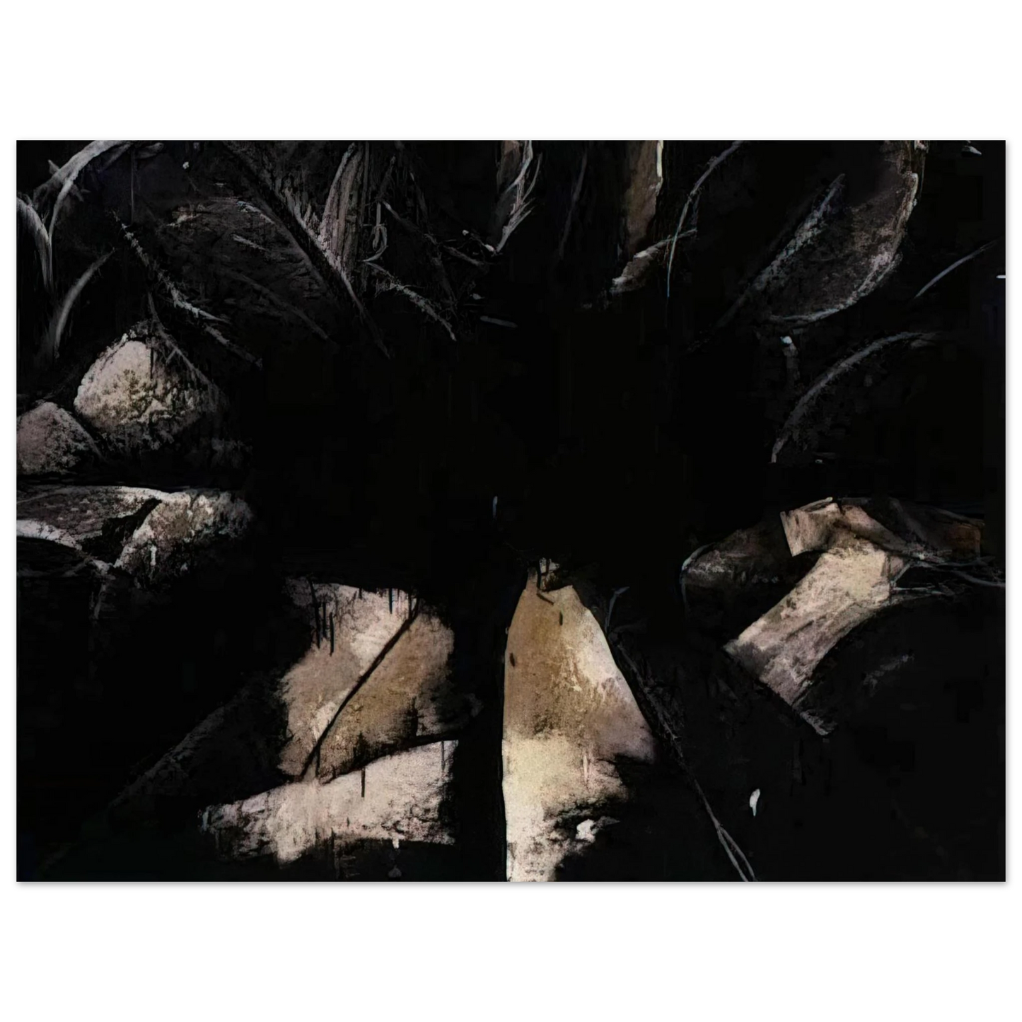 Jay DeFeo - Jay DeFeo/BIG/Cabbage Rose 75x100 cm / 30x40inches Fine Art Poster