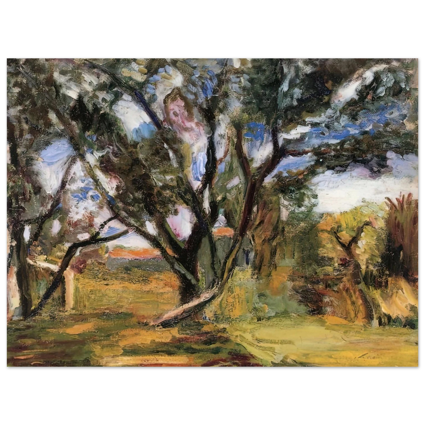 Henri Matisse - THE OLIVE TREE 75x100 cm / 30x40inches Fine Art Poster