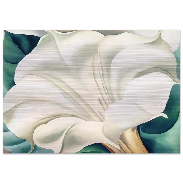 Jimson Weed 2 - Georgia O'Keeffe Brushed Aluminum Print - 70x100 cm / 28x40 inches | Georgia O'Keeffe Aluminum Print | Georgia O'Keeffe Prints