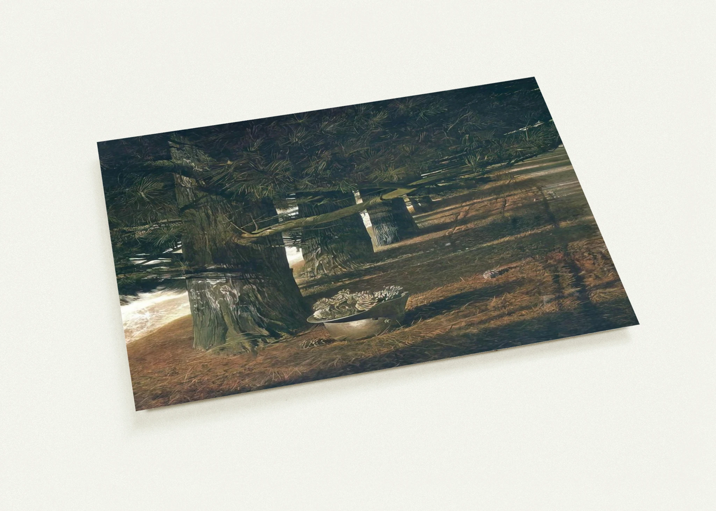PINE BARON By Andrew Wyeth Pack of 10 Post Cards | Andrew Wyeth Post Cards | A6 (10.5 x 14.8 cm) - 4.1 x 5.8 inches