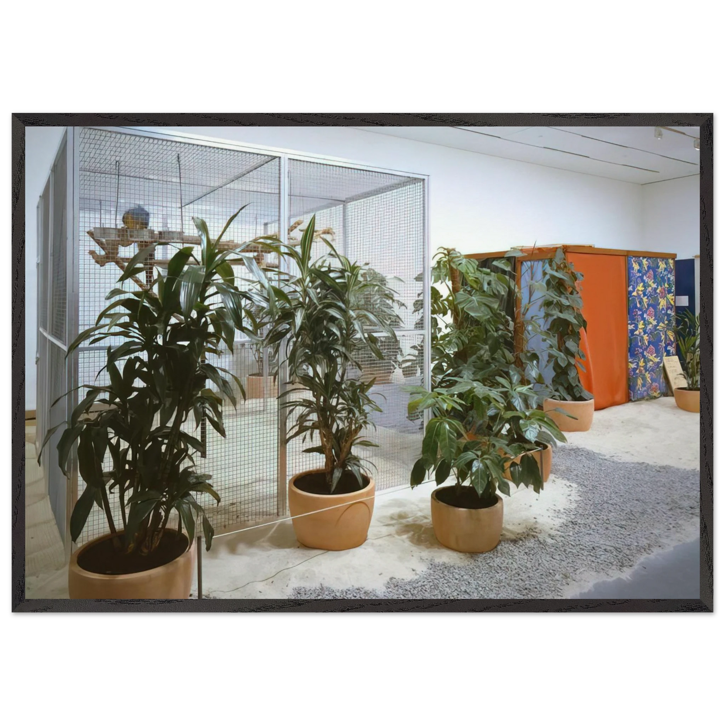 Tropicalia Penetrables PN 2 Purity is a myth and PN 3 Imagetical - Helio Oiticica 70x100 cm / 28x40 inches Framed Art Print – Black Wooden Frame