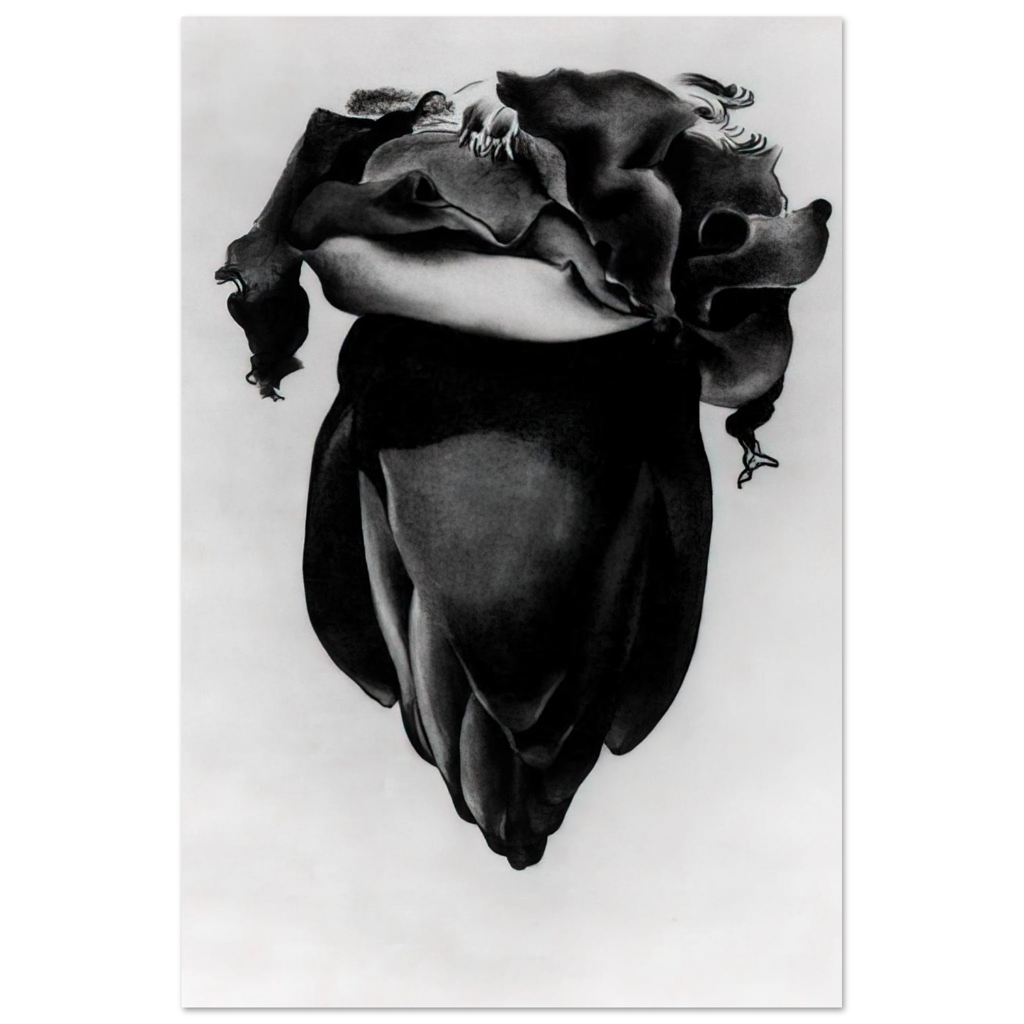 Georgia O'Keeffe - Banana Flower Fine Art Poster