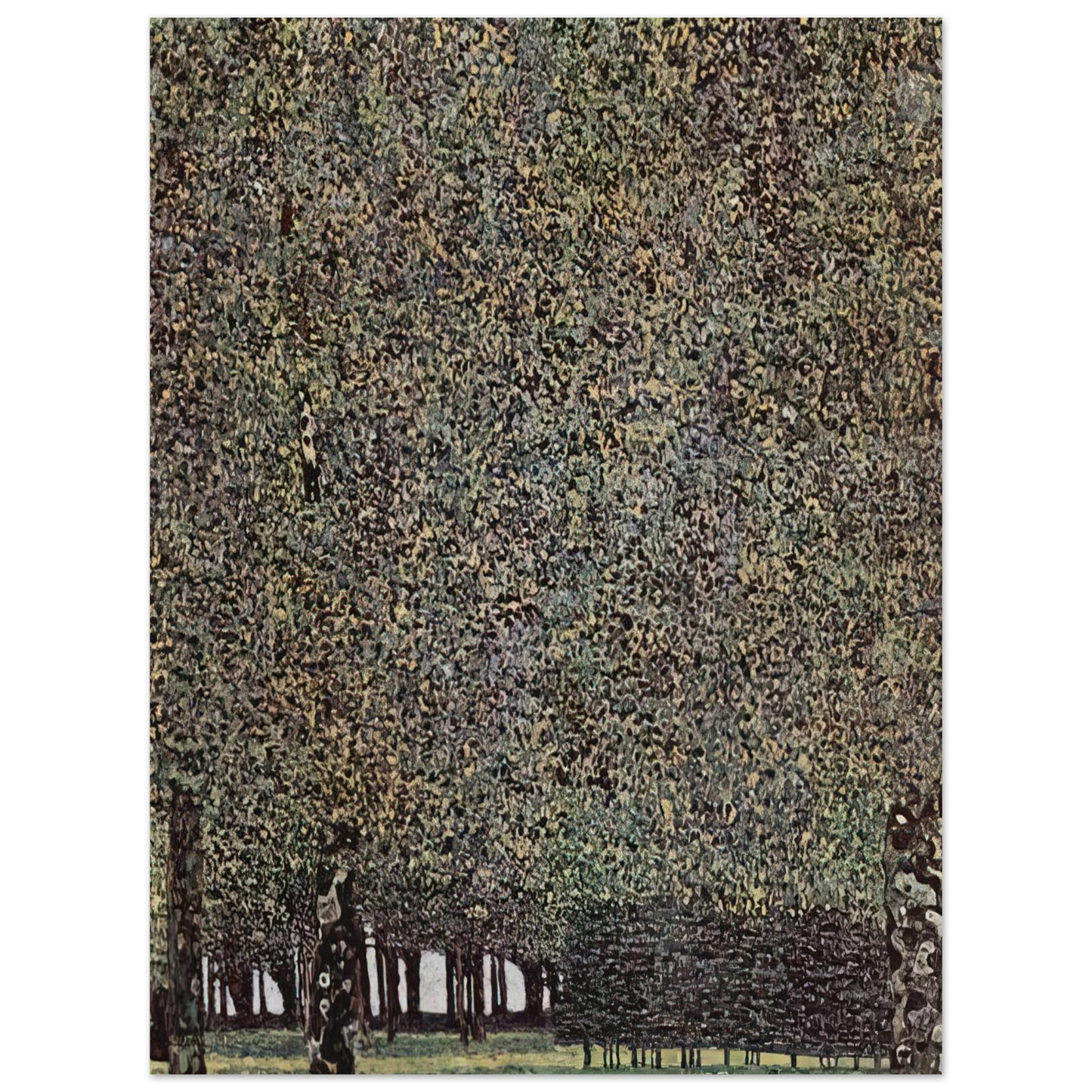 Gustav Klimt - PARK 1910 75x100 cm / 30x40inches Fine Art Poster