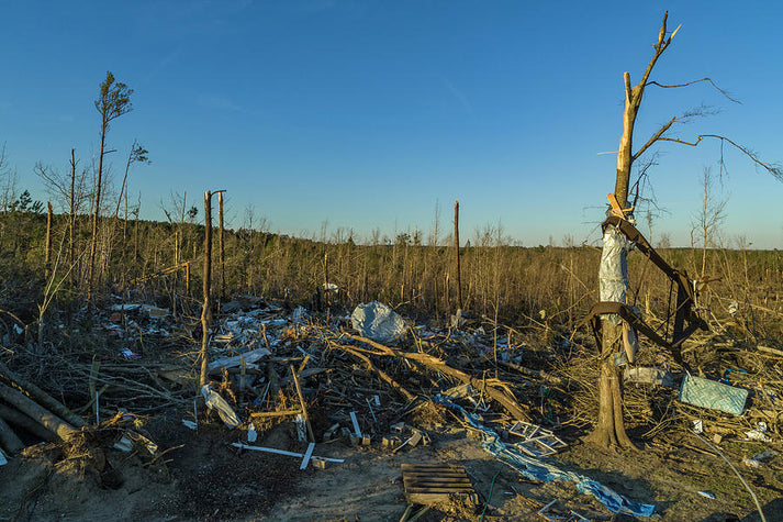 EF4 Tree Damage Art Print | Museum-Quality Fine Art Print | RedKalion