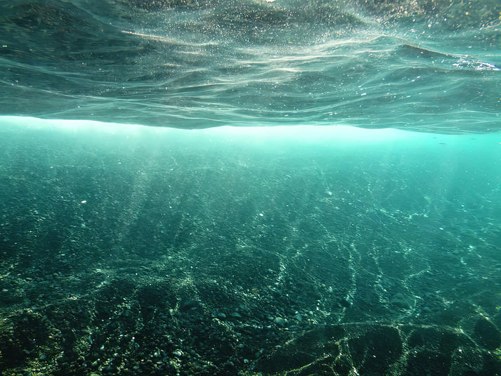 Underwater Sunlight #1 Fine Art Print | RedKalion
