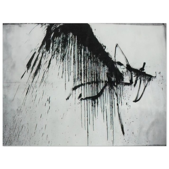 Salvador Dali - NIGHT IN THE HOTEL ABSTRACT IN BLACK AND WHITE 75x100 cm / 30x40inches Fine Art Poster