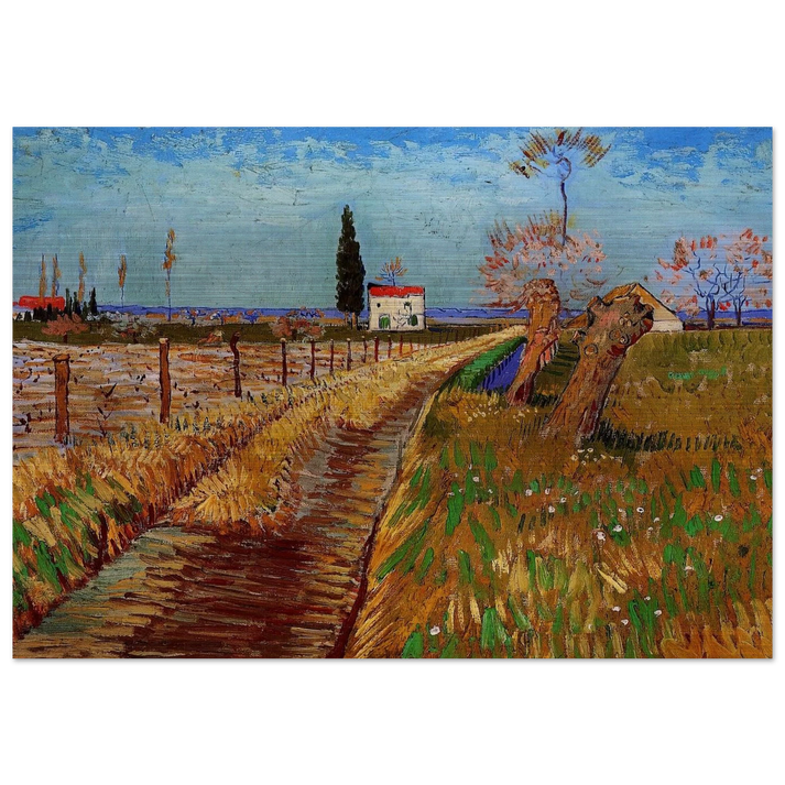 Path Through a Field with Willows - Vincent van Gogh Brushed Aluminum Print - 70x100 cm / 28x40 inches | Vincent van Gogh Aluminum Print | Vincent van Gogh Prints