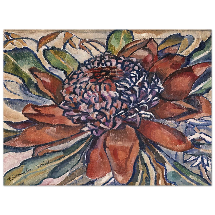 Grace Cossington Smith - Waratah - 1928 75x100 cm / 30x40inches Fine Art Poster