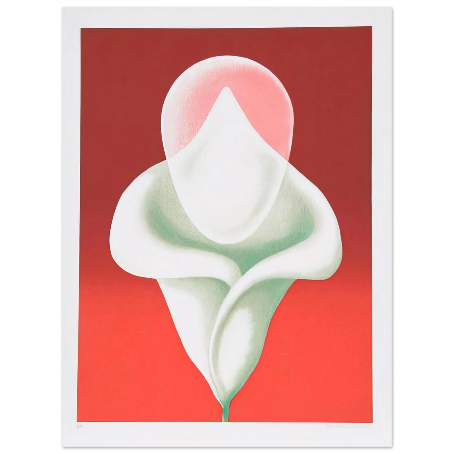 Clarence Holbrook Carter - Abstract Tulip - 1979 75x100 cm / 30x40inches Fine Art Poster