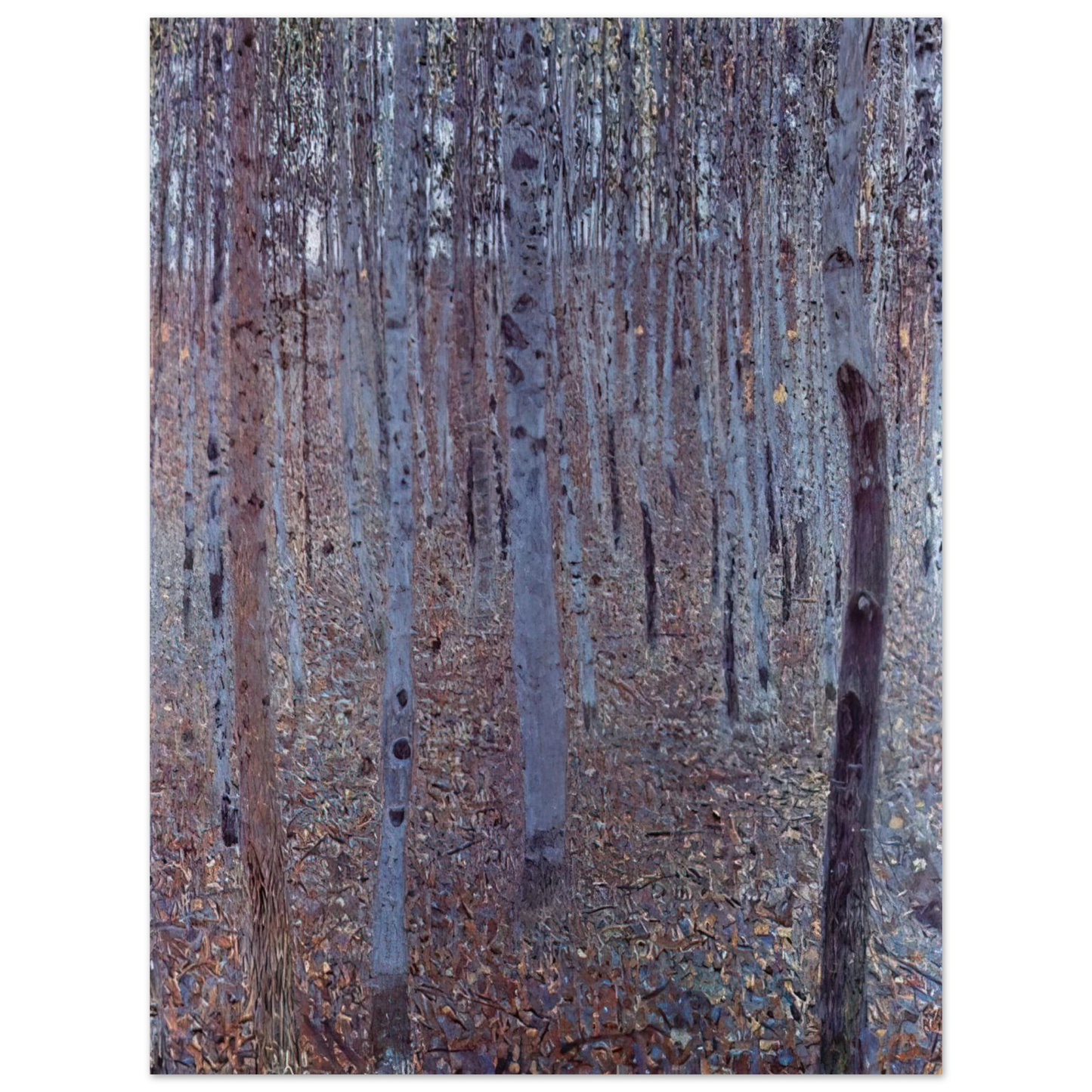 Gustav Klimt - BUCHENHAIN 75x100 cm / 30x40inches Fine Art Poster