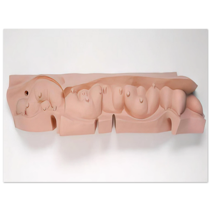 Louise Bourgeois - MAMELLES 1991 75x100 cm / 30x40inches Fine Art Poster