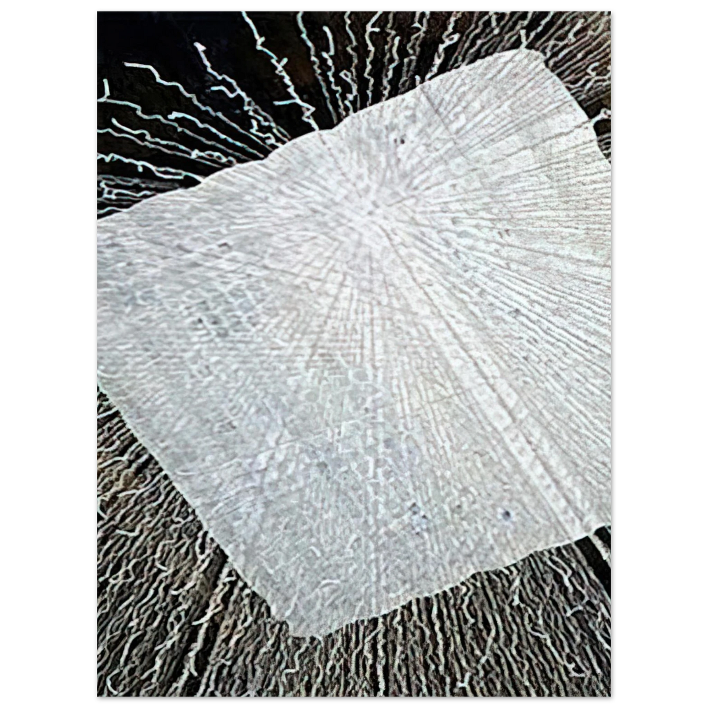 Lenore Tawney - CLOUD SERIES V 1978 75x100 cm / 30x40inches Fine Art Poster