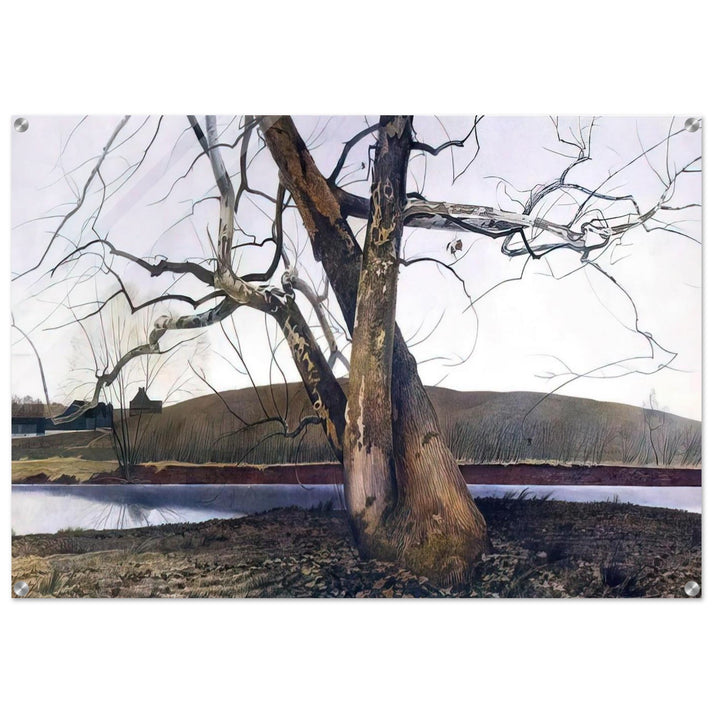 DIL HUEY FARM - Andrew Wyeth Acrylic Print - 70x100 cm / 28x40″ inches | Andrew Wyeth Wall Art | Andrew Wyeth Prints