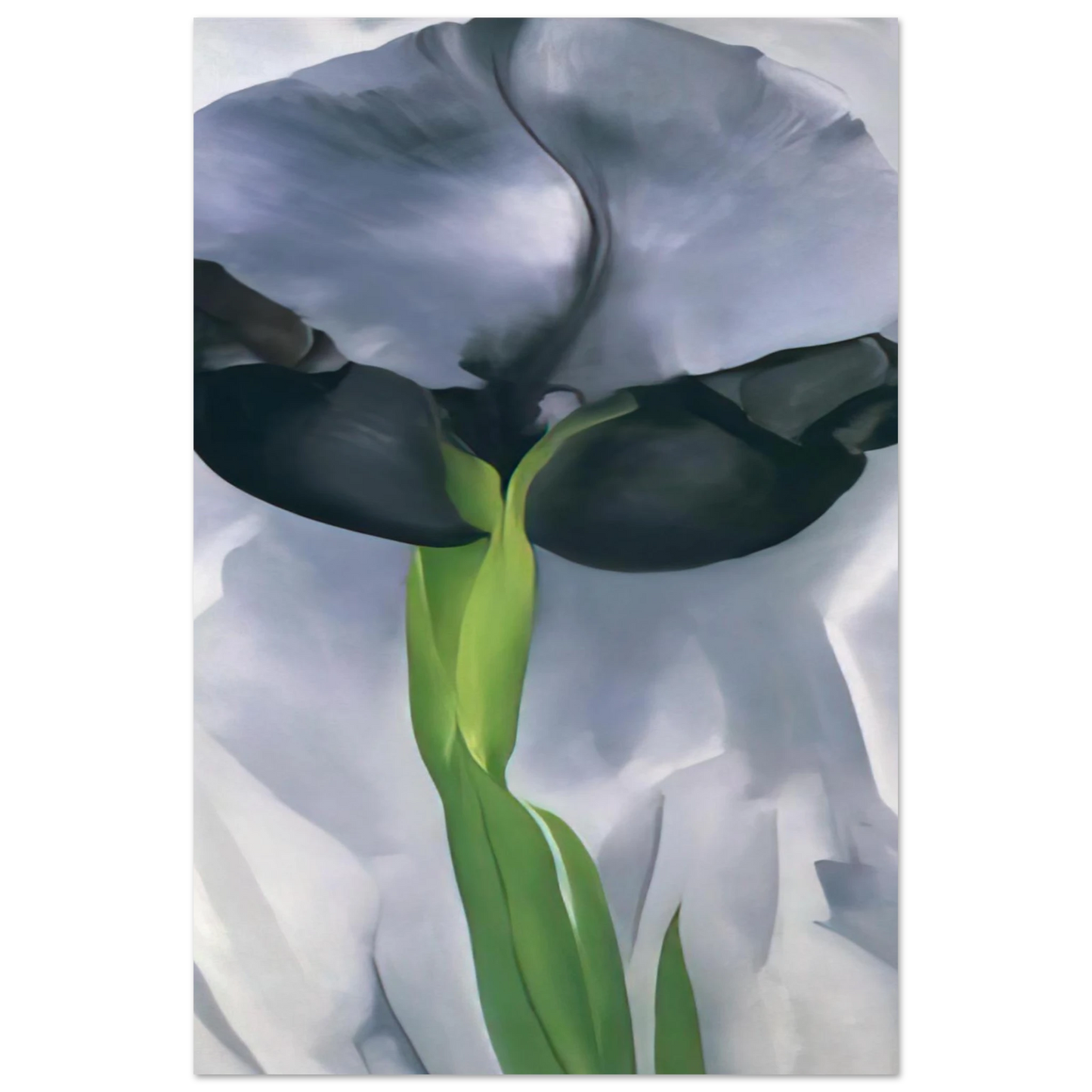 Georgia O'Keeffe - Iris 7 Fine Art Poster