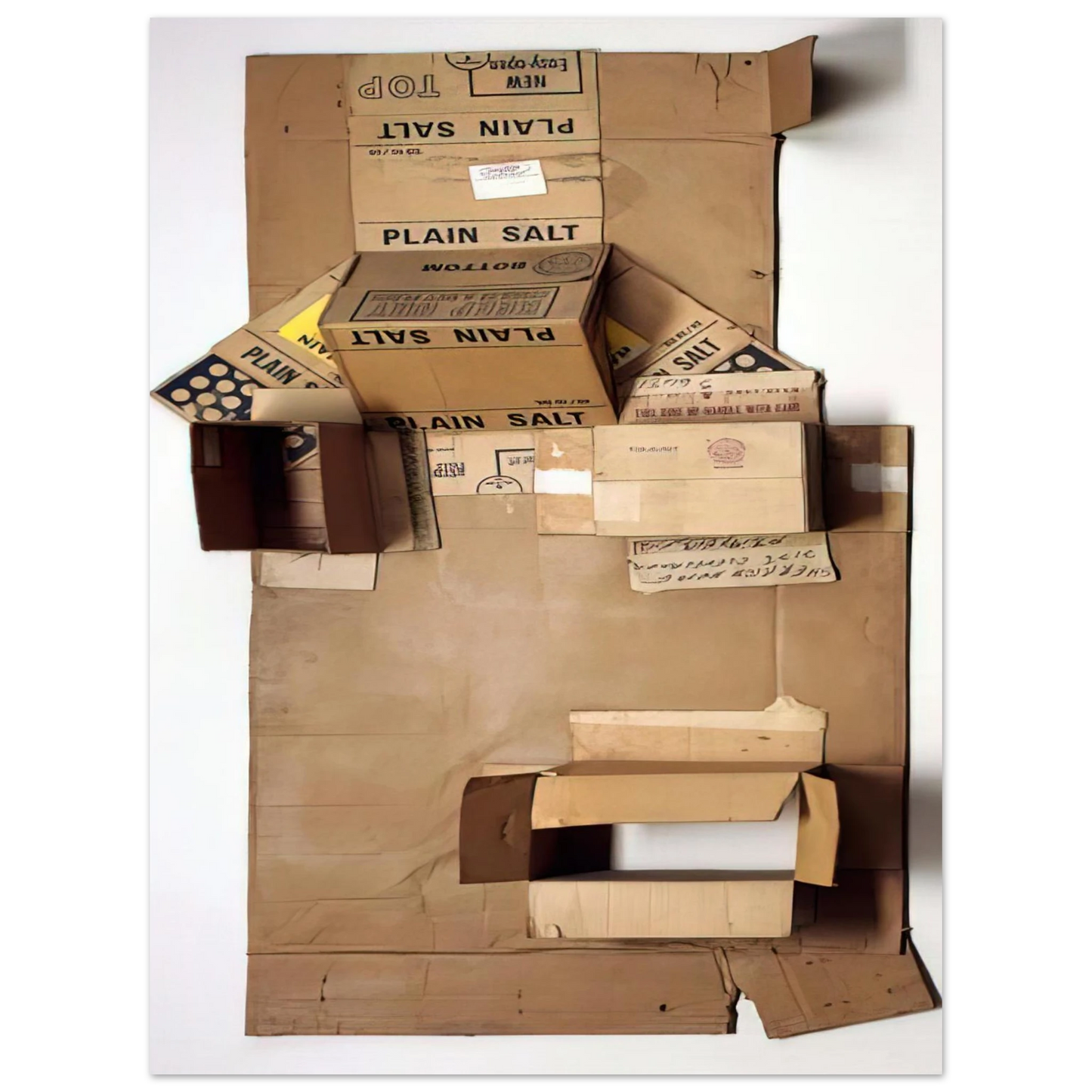 Robert Rauschenberg - PLAIN SALT CARDBOARD 1971 75x100 cm / 30x40inches Fine Art Poster
