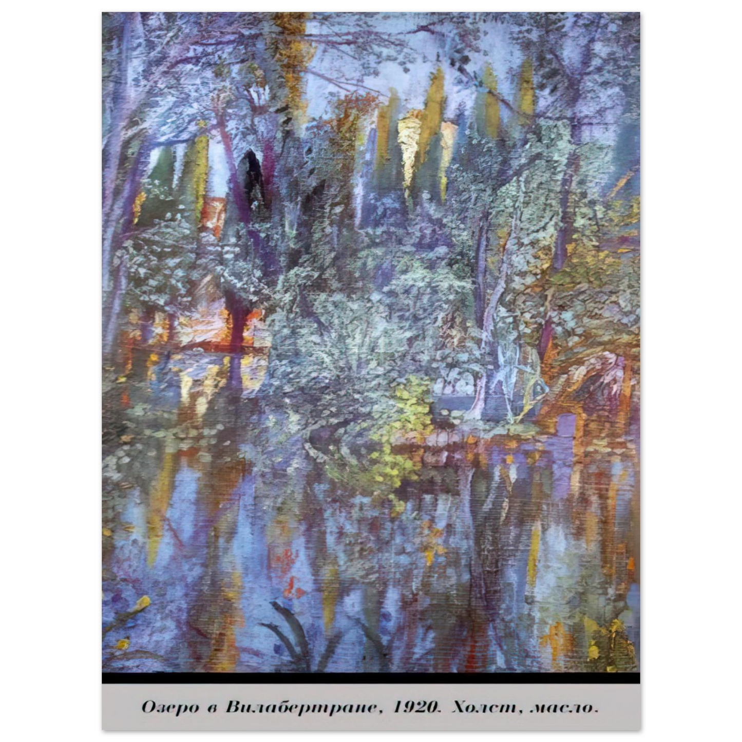 Salvador Dali - THE LAKE AT VILABERTRAN 75x100 cm / 30x40inches Fine Art Poster