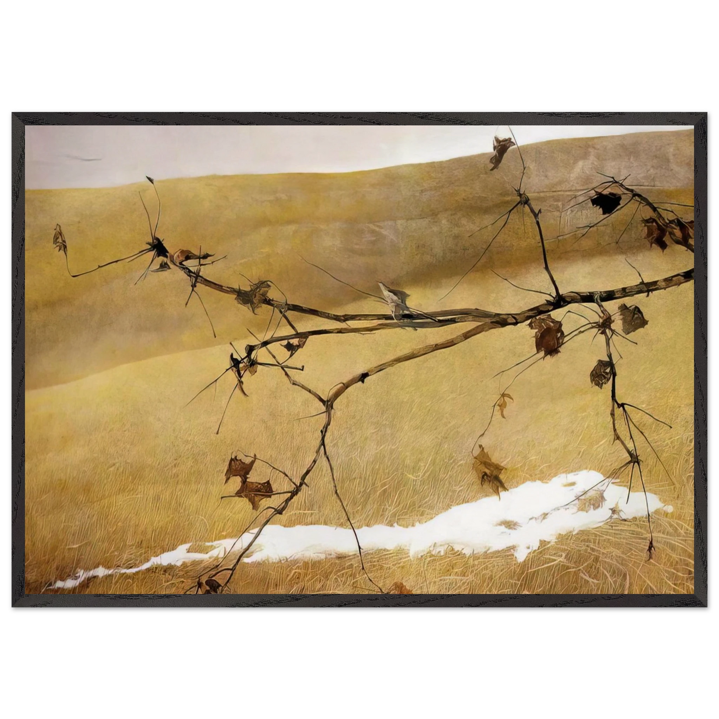 LONG LIMB - Andrew Wyeth 70x100 cm / 28x40 inches Framed Art Print – Black Wooden Frame
