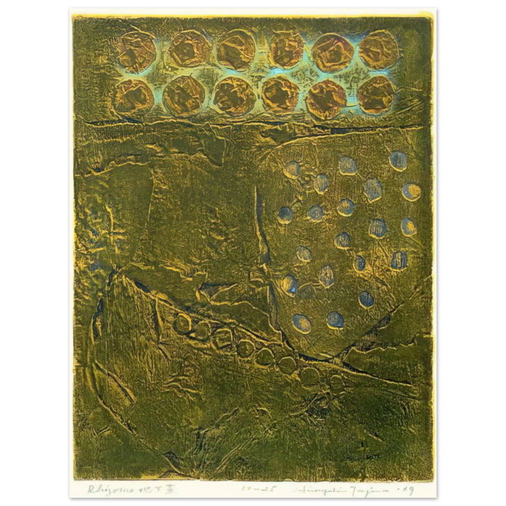 Hiroyuki Tajima - Rhizome - 1969 75x100 cm / 30x40inches Fine Art Poster