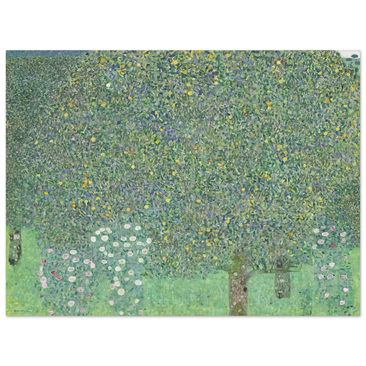 Gustav Klimt - ROSES UNDER THE TREES 75x100 cm / 30x40inches Fine Art Poster