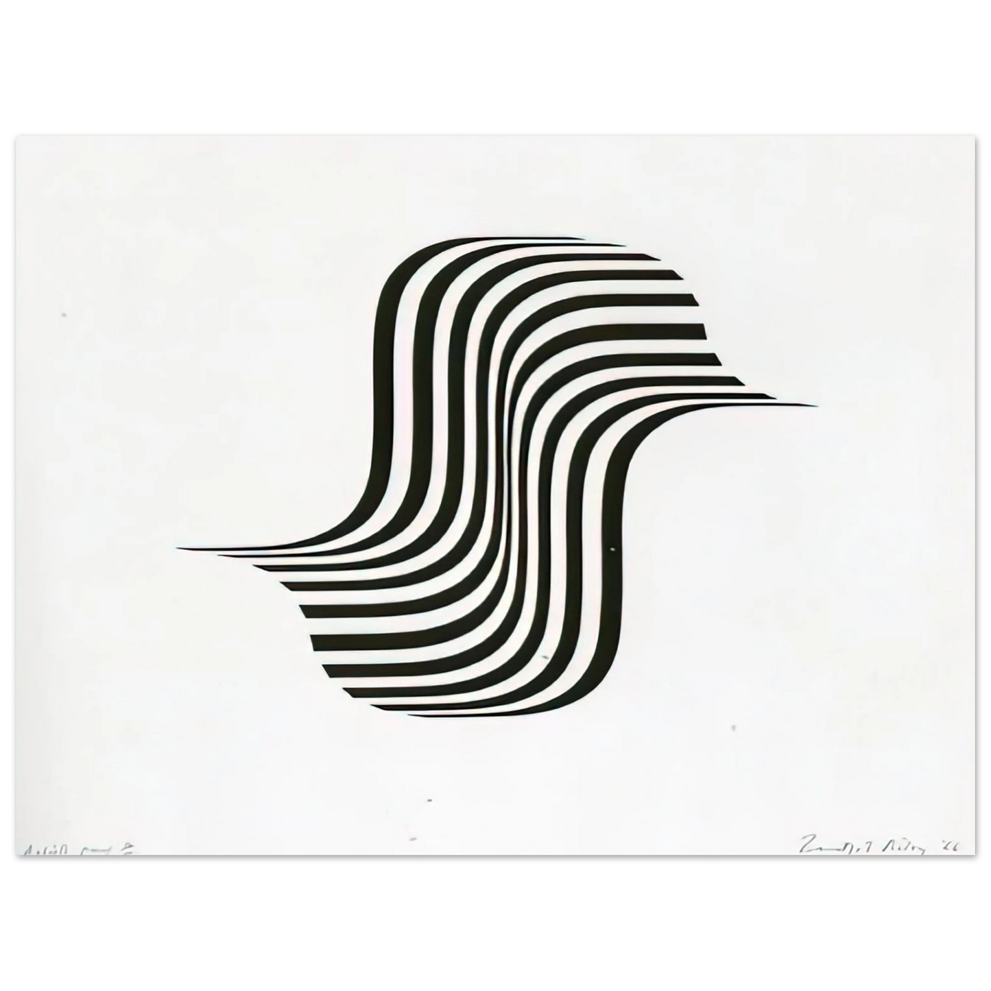 Bridget Riley - UNTITLED WINGED CURVE 1966 75x100 cm / 30x40inches Fine Art Poster