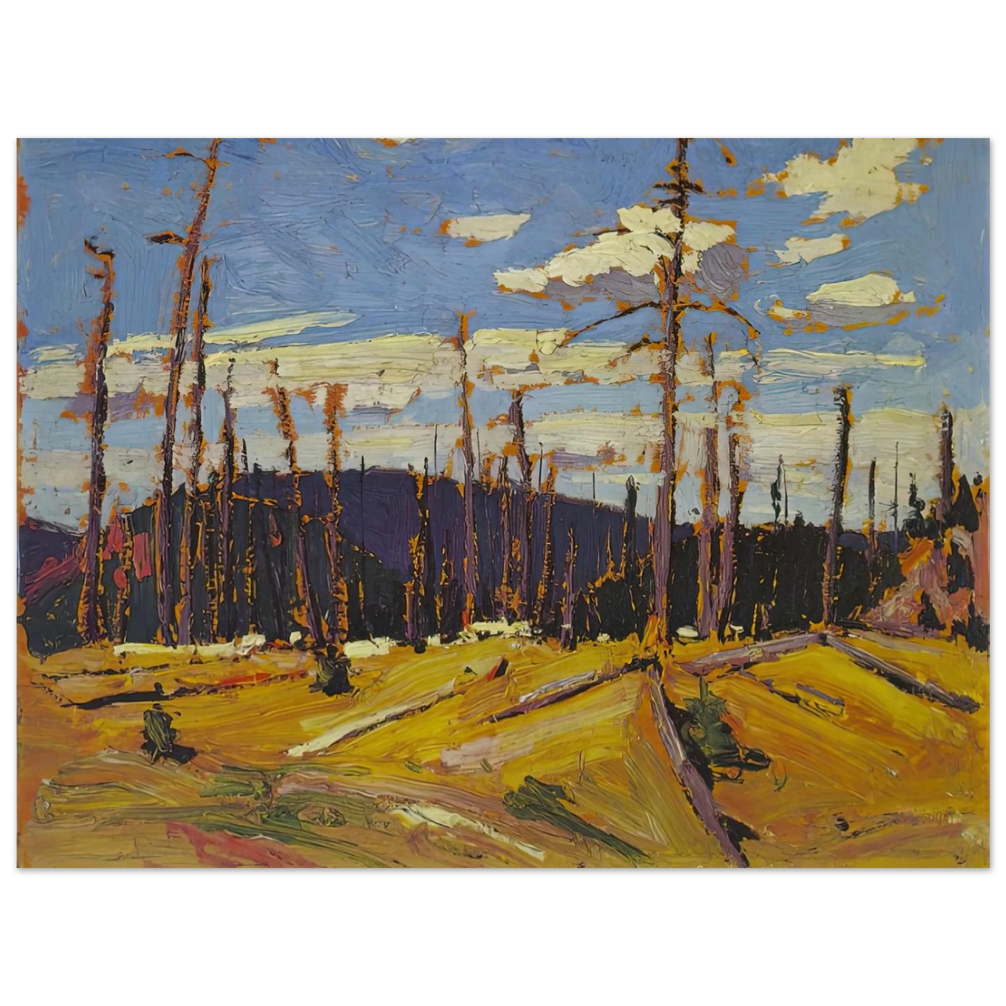 Tom Thomson - BURNT OVER FOREST 1916 75x100 cm / 30x40inches Fine Art Poster