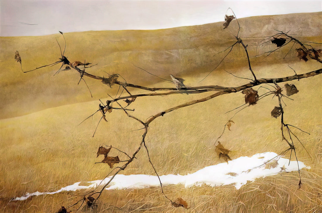 Airborne and Andrew Wyeth: The Artist's Signature Work and Its Enduring Legacy - LONG LIMB by Andrew Wyeth