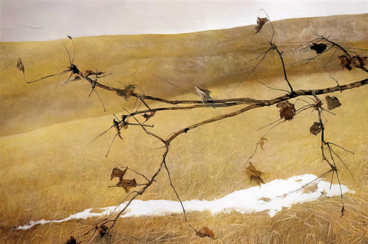 Andrew Wyeth Early Watercolors: The Formative Years of an American Master - LONG LIMB by Andrew Wyeth